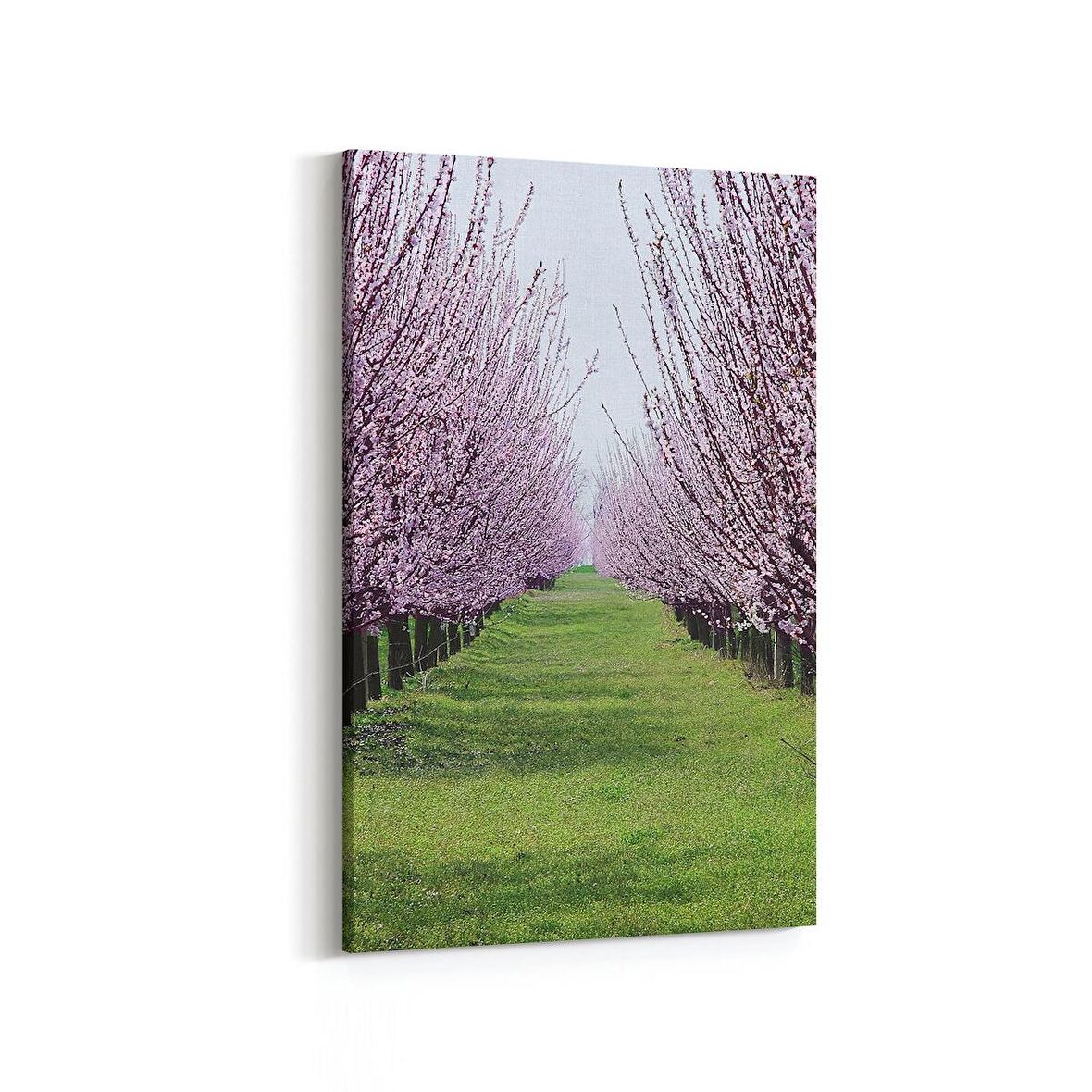 Olla 13453D Doğa / Manzara Görseli Dikey Kanvas Tablo (Ölçü: 80X120)