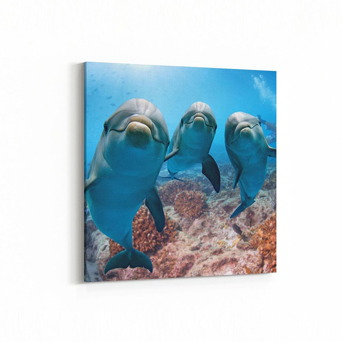 Olla 12965K Deniz / Okyanus Görseli Kare Kanvas Tablo (Ölçü: 25X25)