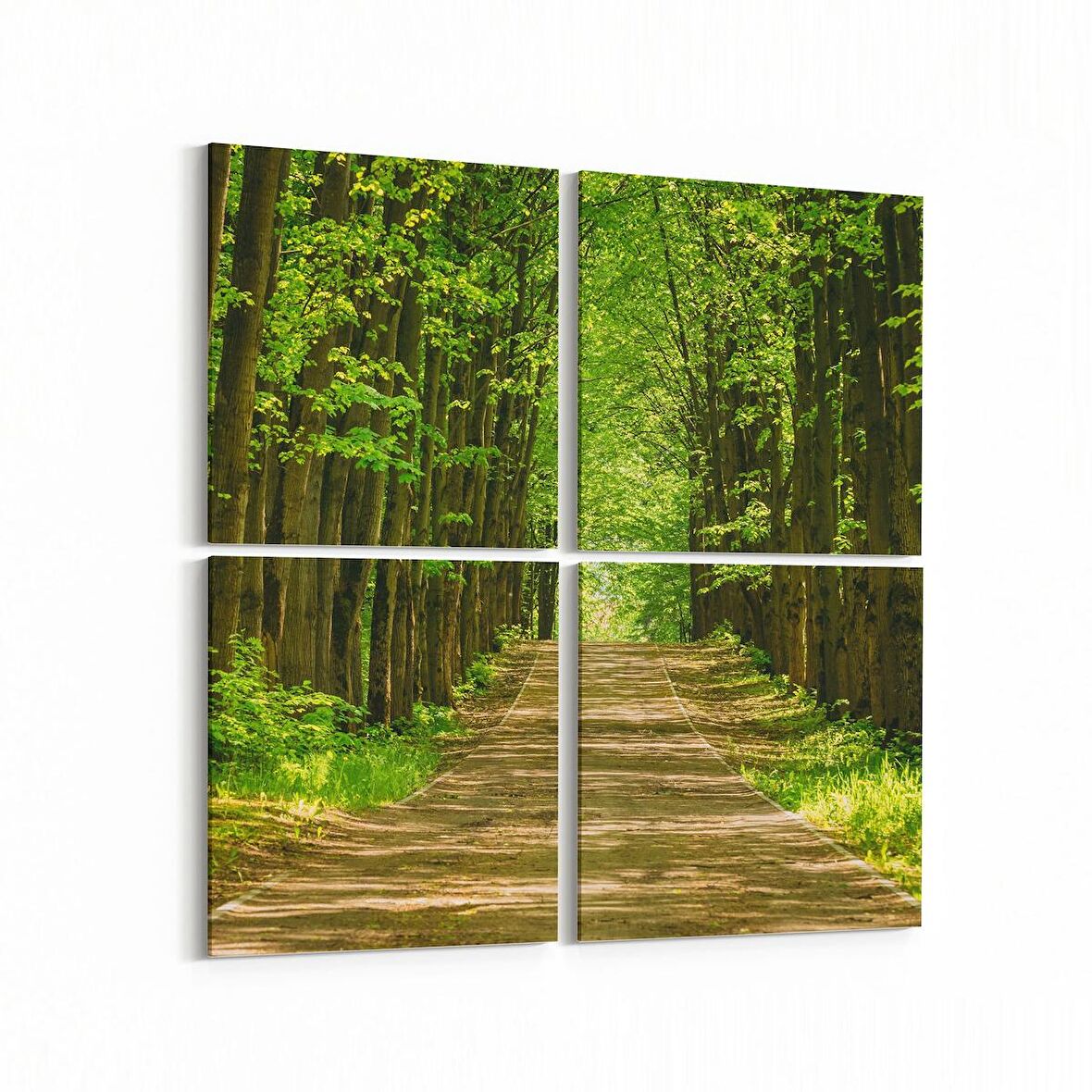 Olla 14276K4 Doğa / Manzara Görseli Kare 4'lü Kanvas Tablo (Ölçü: 65X65)