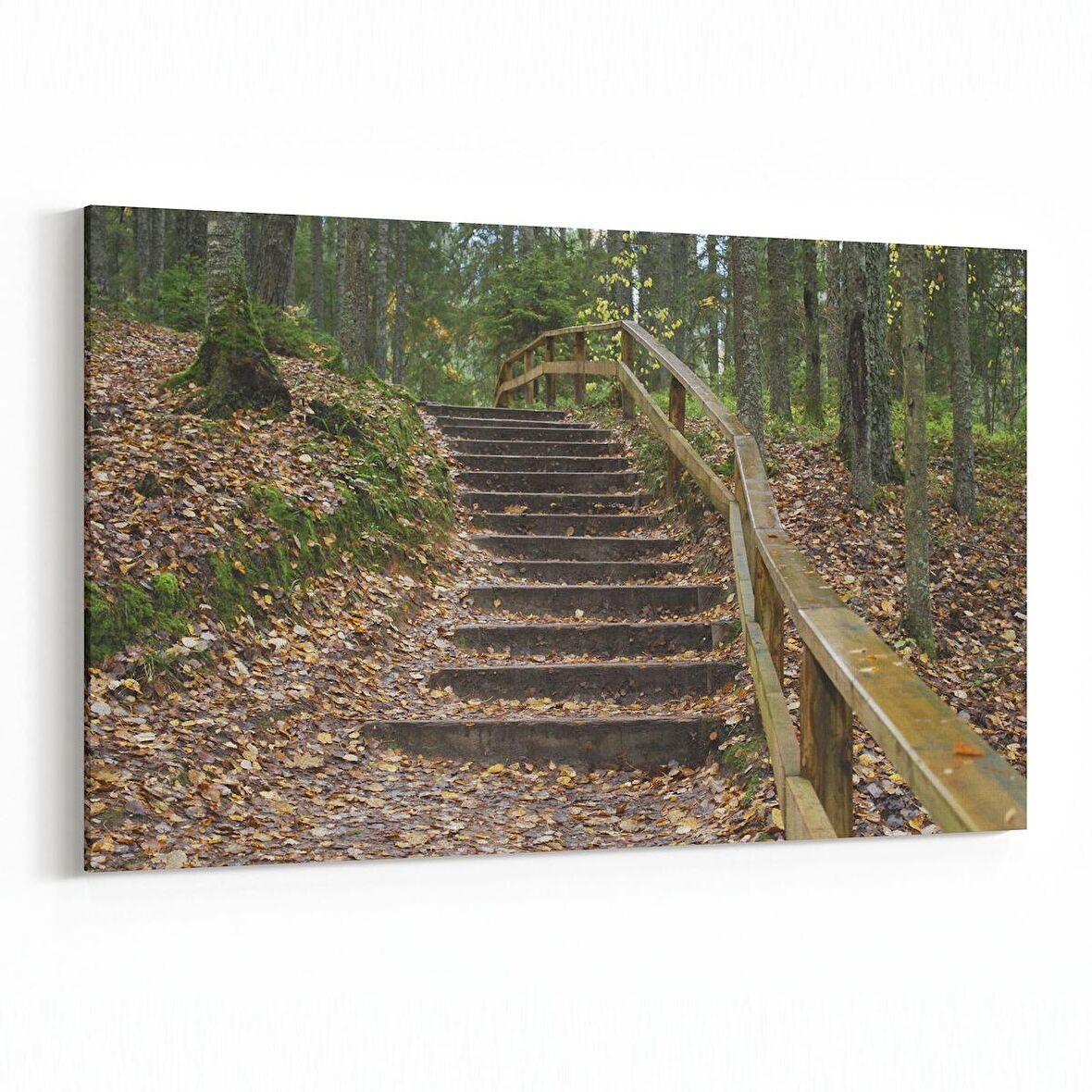 Olla 14494Y Doğa / Manzara Görseli Yatay Kanvas Tablo (Ölçü: 45X30)