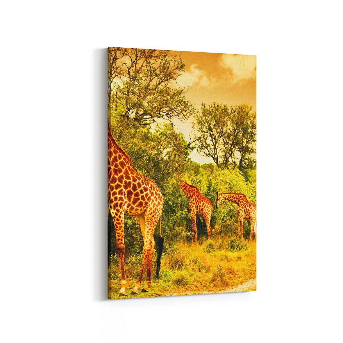 Olla 12484D Hayvanlar Alemi Görseli Dikey Kanvas Tablo (Ölçü: 80X120)