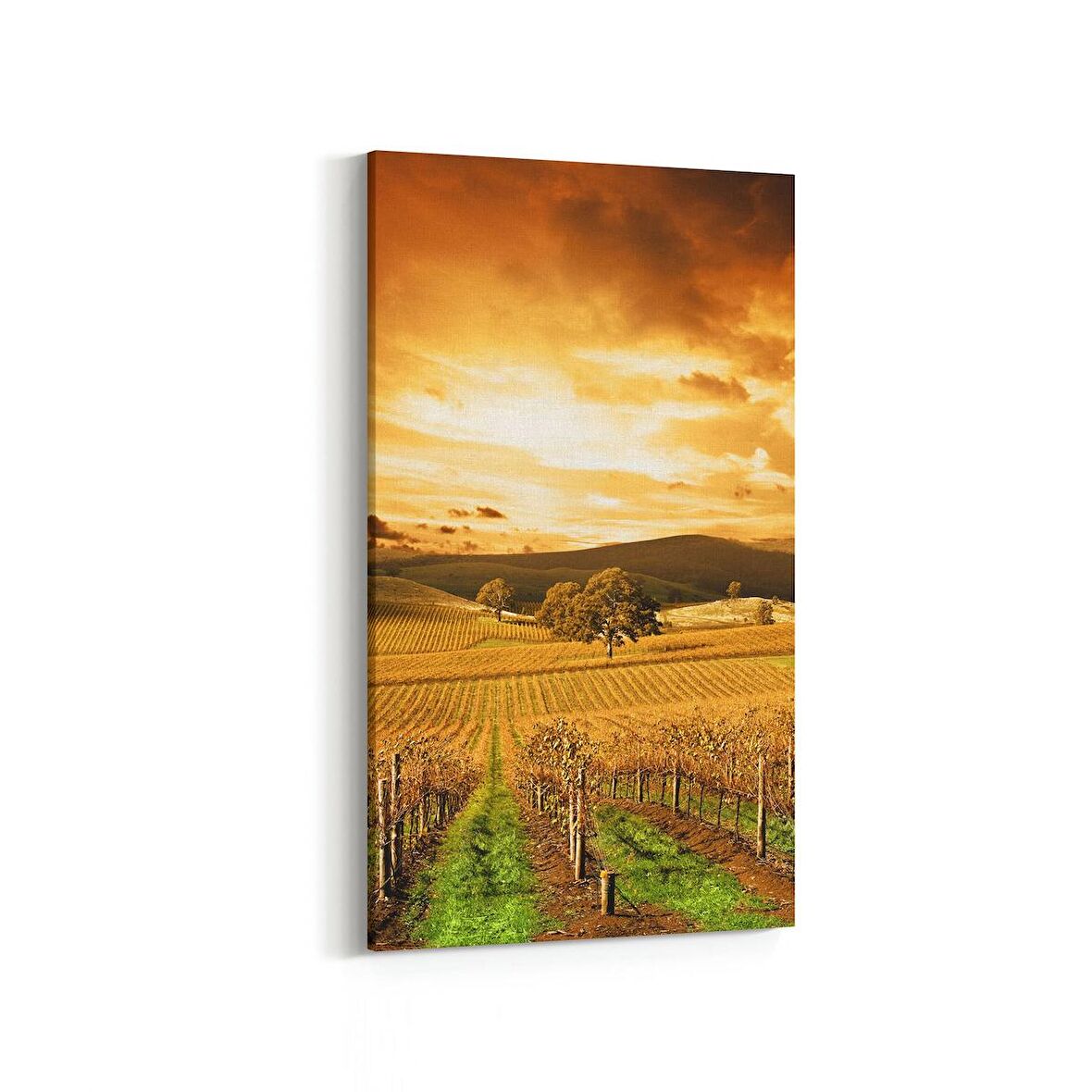 Olla 15960DD Günbatımı Görseli Dikey Dar Kanvas Tablo (Ölçü: 30X60)