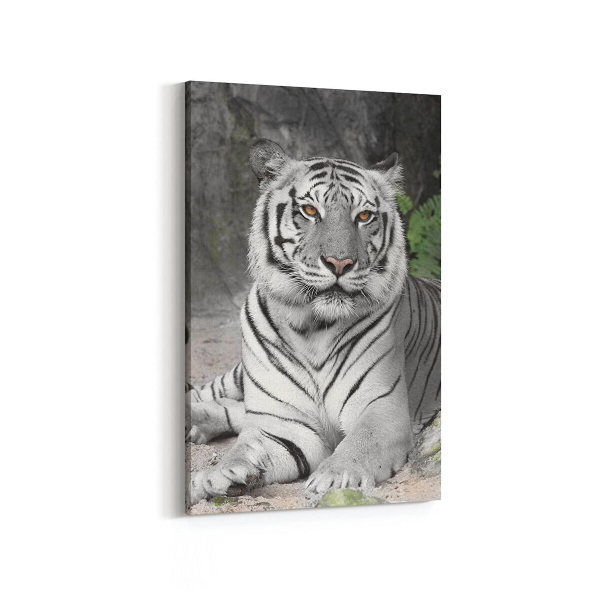 Olla 12515D Hayvanlar Alemi Görseli Dikey Kanvas Tablo (Ölçü: 60X90)