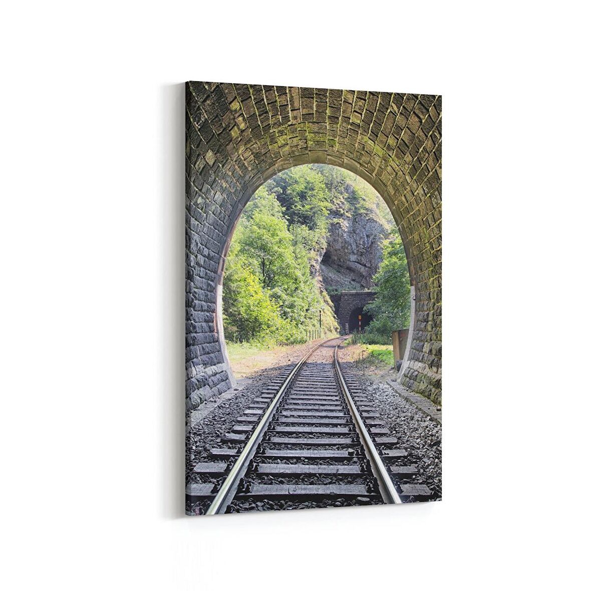 Olla 13878D Doğa / Manzara Görseli Dikey Kanvas Tablo (Ölçü: 100X150)