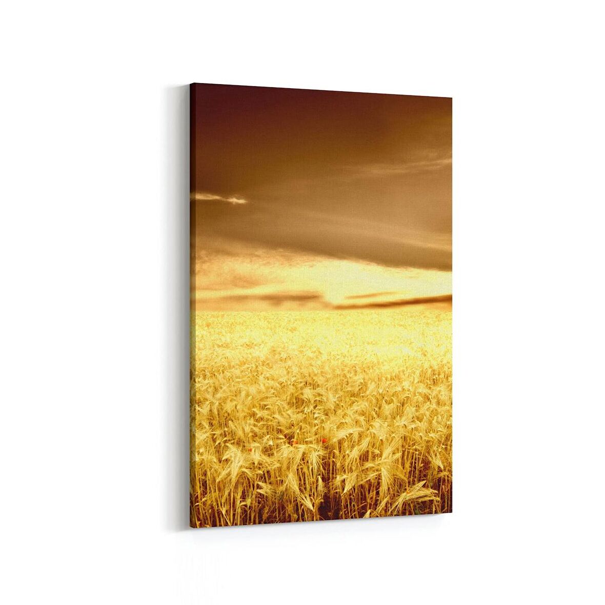 Olla 15895D Günbatımı Görseli Dikey Kanvas Tablo (Ölçü: 20X30)