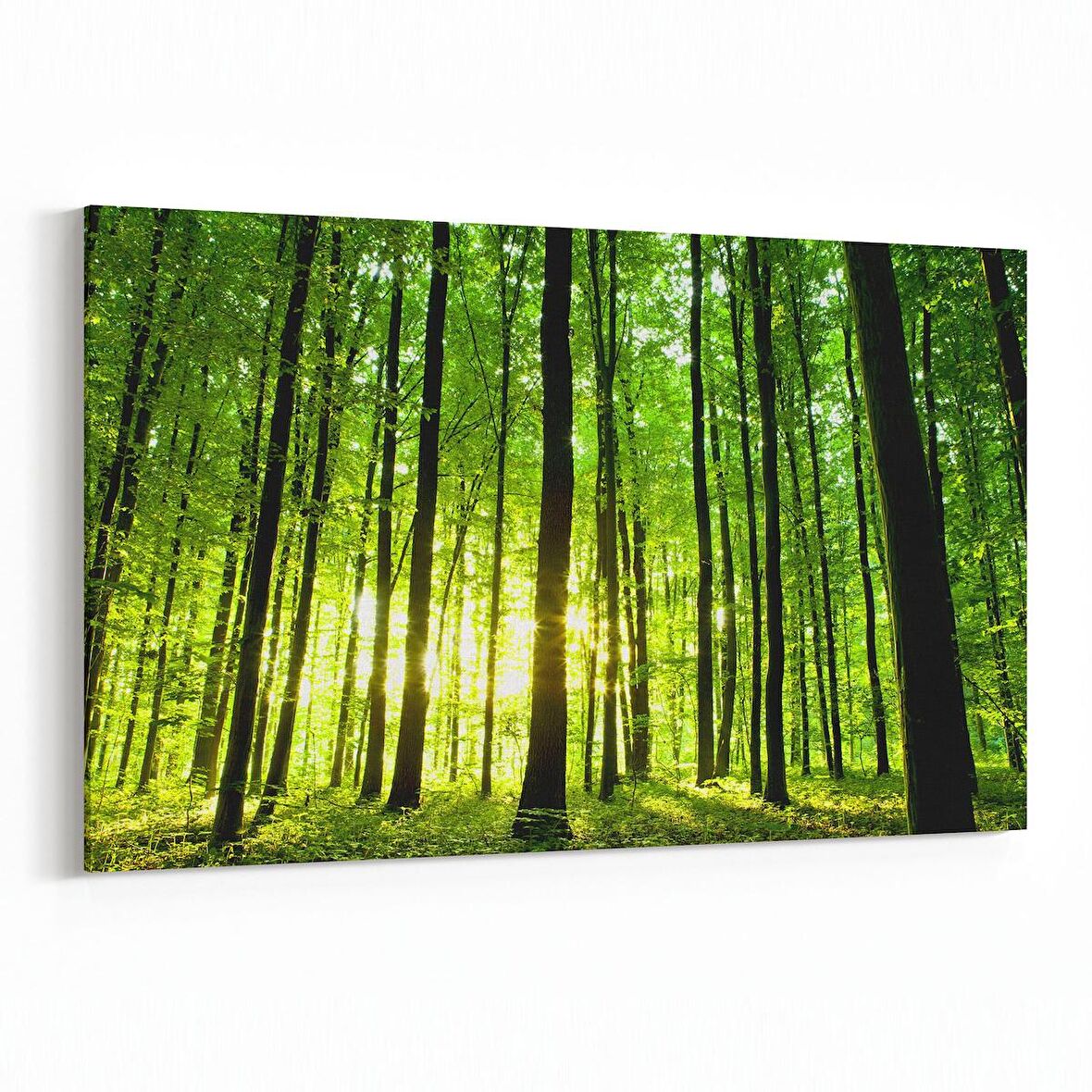 Olla 13250Y Doğa / Manzara Görseli Yatay Kanvas Tablo (Ölçü: 150X100)