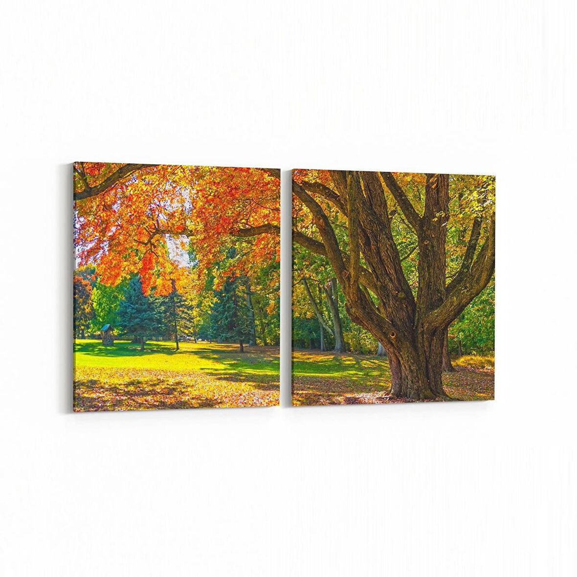 Olla 13980K2Y Doğa / Manzara Görseli Kare 2'li Yatay Kanvas Tablo (Ölçü: 85X40)