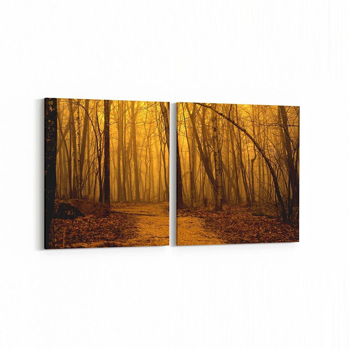 Olla 13885K2Y Doğa / Manzara Görseli Kare 2'li Yatay Kanvas Tablo (Ölçü: 105X50)