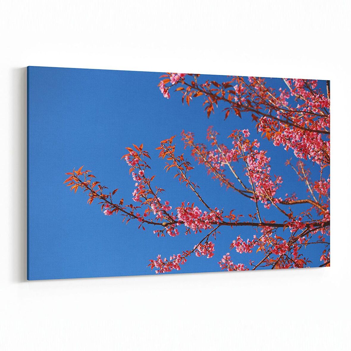 Olla 10513Y Ağaç Görseli Yatay Kanvas Tablo (Ölçü: 90X60)