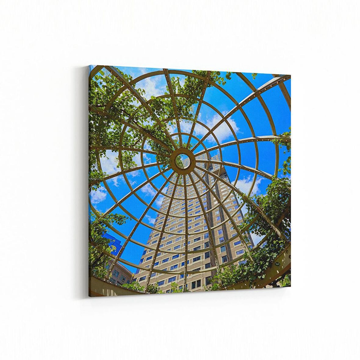 Olla 13812K Doğa / Manzara Görseli Kare Kanvas Tablo (Ölçü: 100X100)