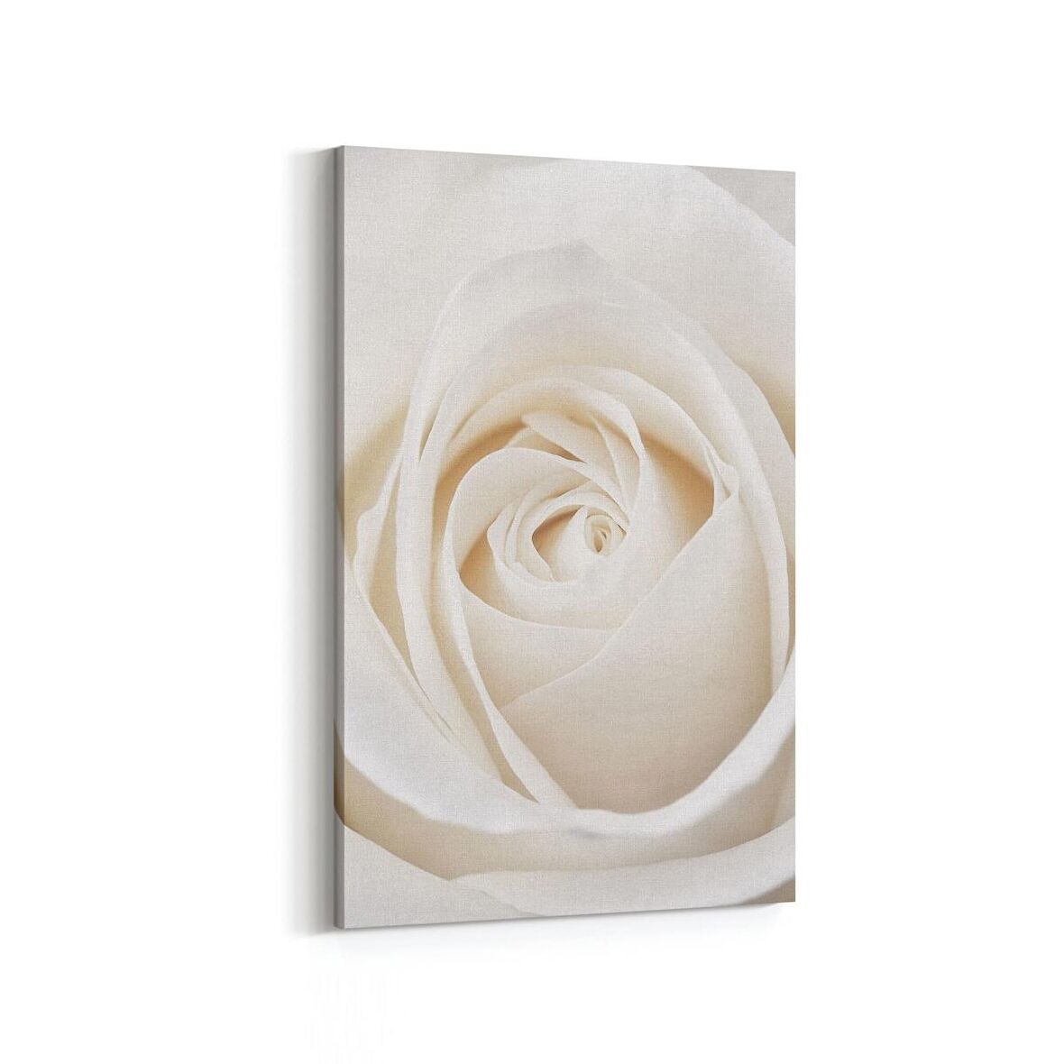 Olla 11641D Çiçek Görseli Dikey Kanvas Tablo (Ölçü: 100X150)