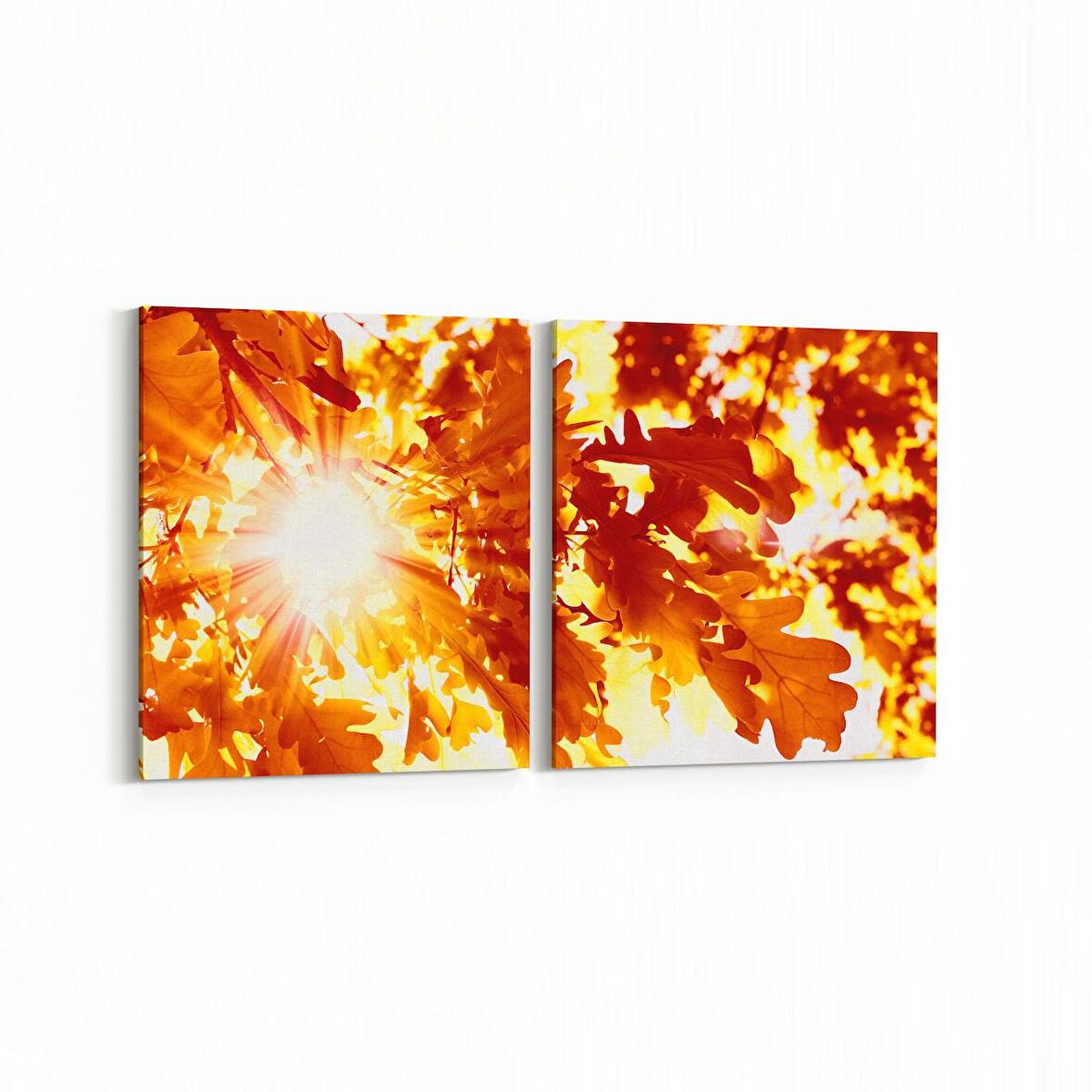 Olla 10663K2Y Ağaç Görseli Kare 2'li Yatay Kanvas Tablo (Ölçü: 65X30)