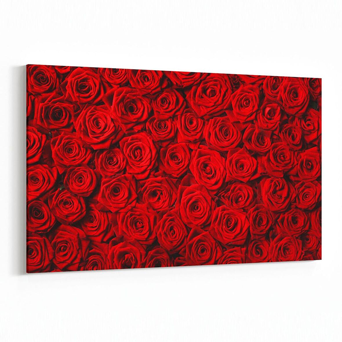 Olla 11559Y Çiçek Görseli Yatay Kanvas Tablo (Ölçü: 90X60)