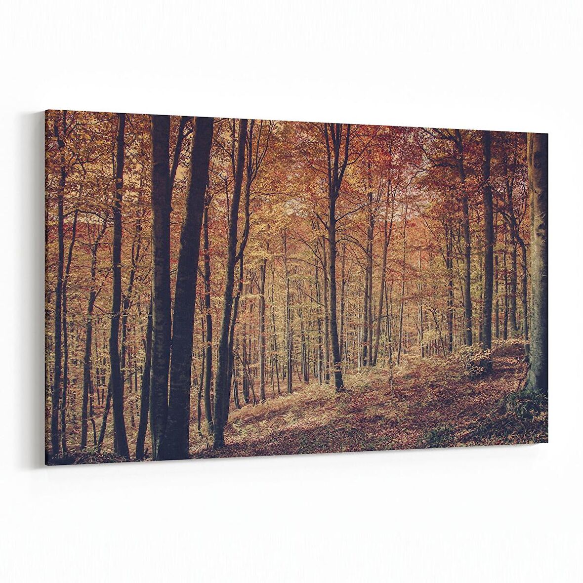 Olla 14136Y Doğa / Manzara Görseli Yatay Kanvas Tablo (Ölçü: 70X50)