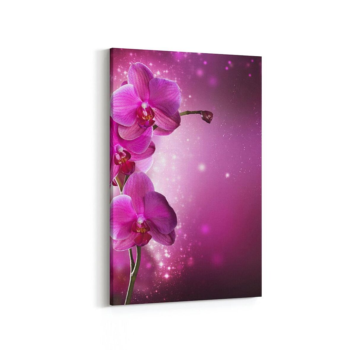 Olla 11748D Orkide Çiçek Görseli Dikey Kanvas Tablo (Ölçü: 100X150)