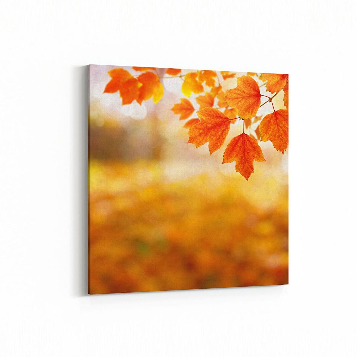 Olla 10511K Ağaç Görseli Kare Kanvas Tablo (Ölçü: 25X25)