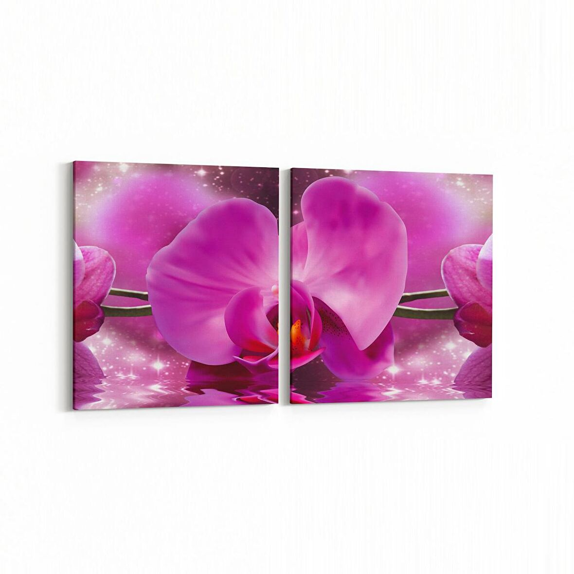 Olla 11731K2Y Orkide Çiçek Görseli 2'li Yatay Kanvas Tablo (Ölçü: 85X40)