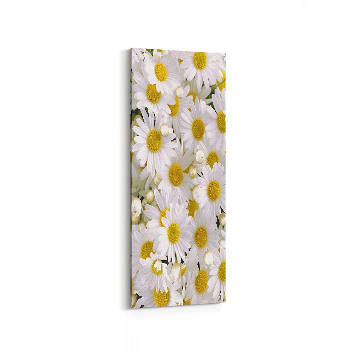 Olla 11634DI Çiçek Görseli Dikey İnce Kanvas Tablo (Ölçü: 30X90)