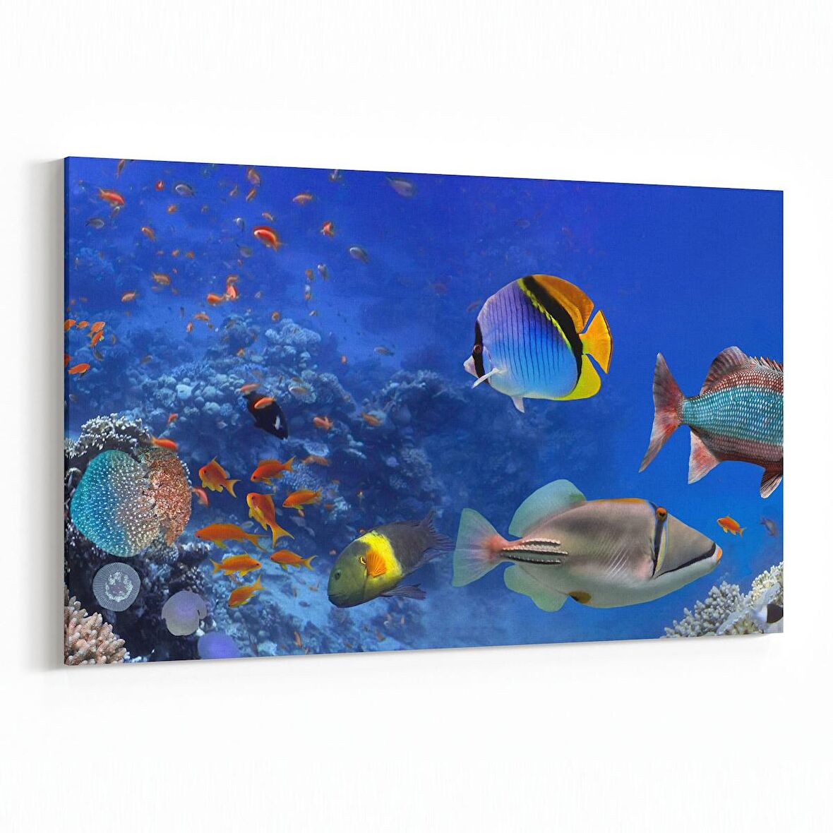 Olla 12147Y Akvaryum / Balık Görseli Yatay Kanvas Tablo (Ölçü: 150X100)