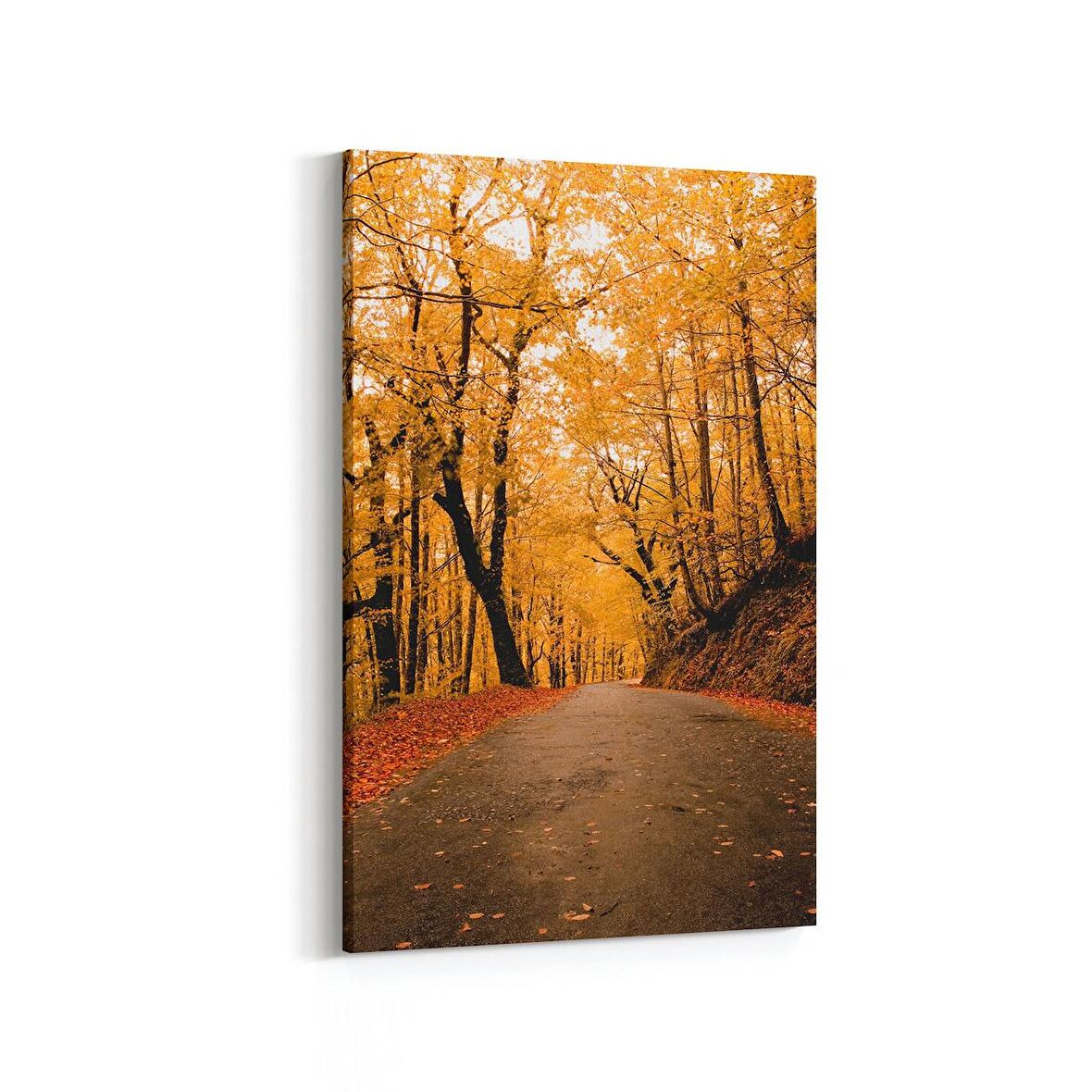 Olla 14330D Doğa / Manzara Görseli Dikey Kanvas Tablo (Ölçü: 40X60)