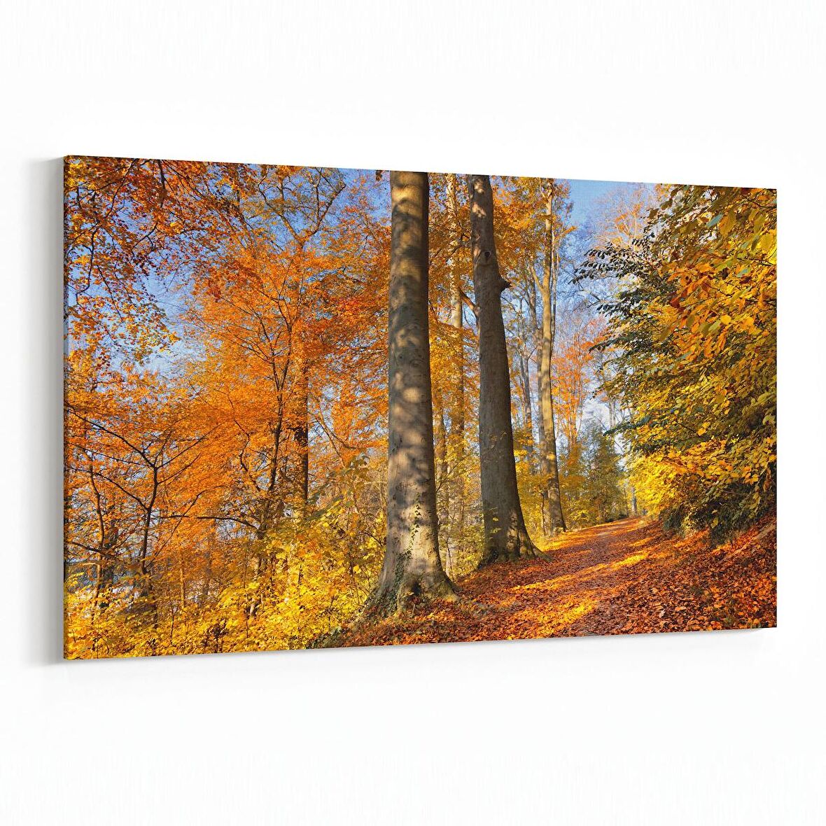 Olla 13255Y Doğa / Manzara Görseli Yatay Kanvas Tablo (Ölçü: 120X80)