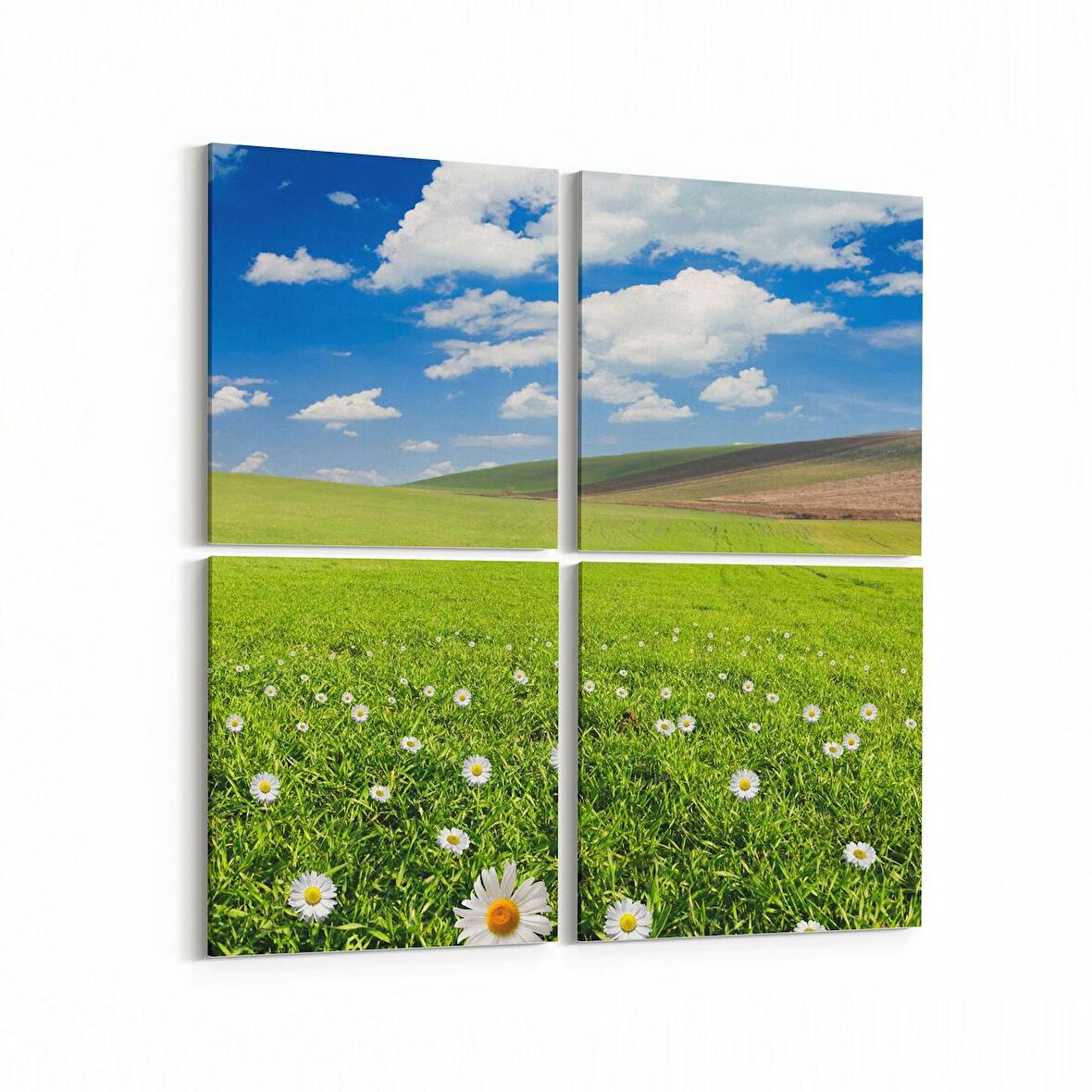 Olla 13718K4 Doğa / Manzara Görseli Kare 4'lü Kanvas Tablo (Ölçü: 145X145)