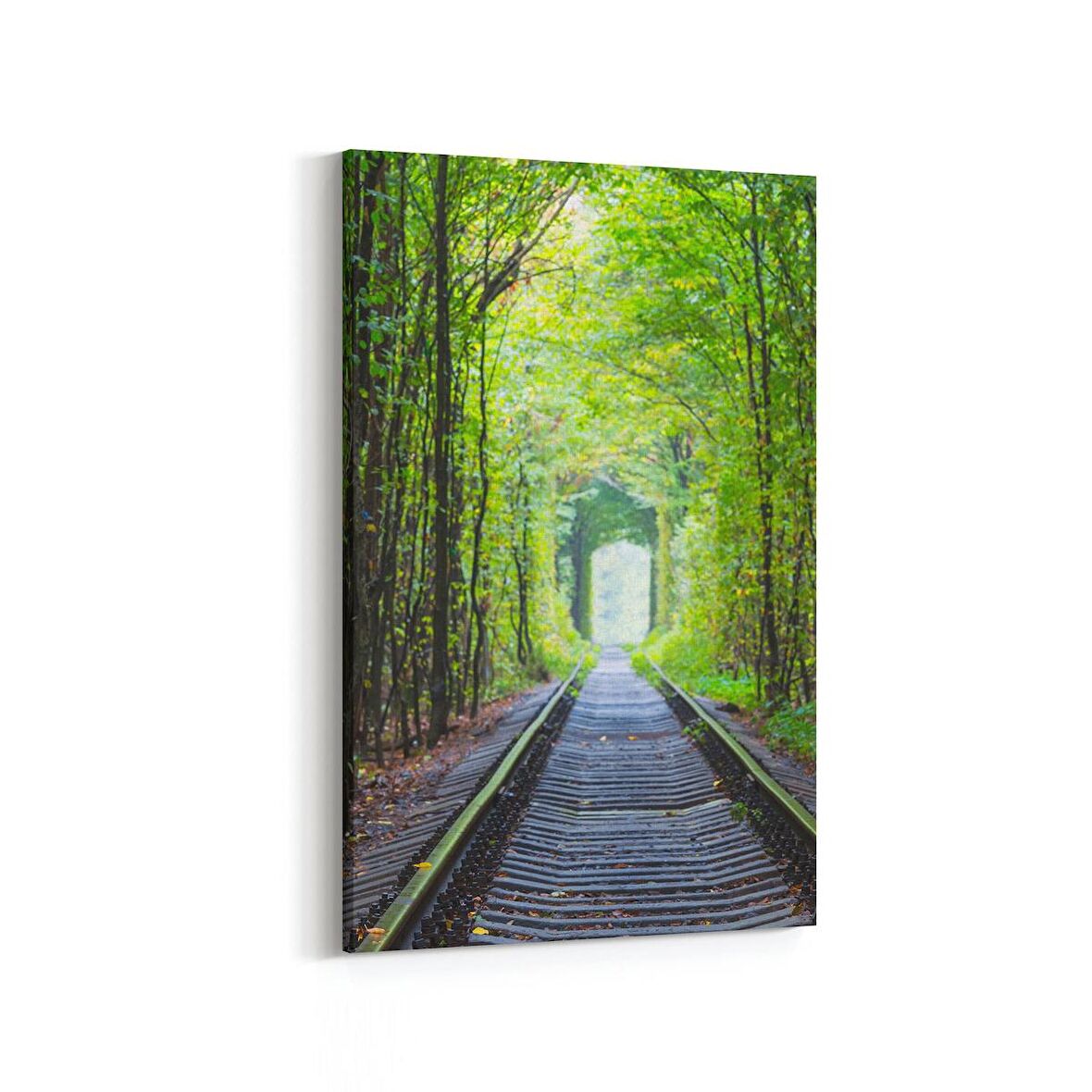 Olla 13902D Doğa / Manzara Görseli Dikey Kanvas Tablo (Ölçü: 20X30)