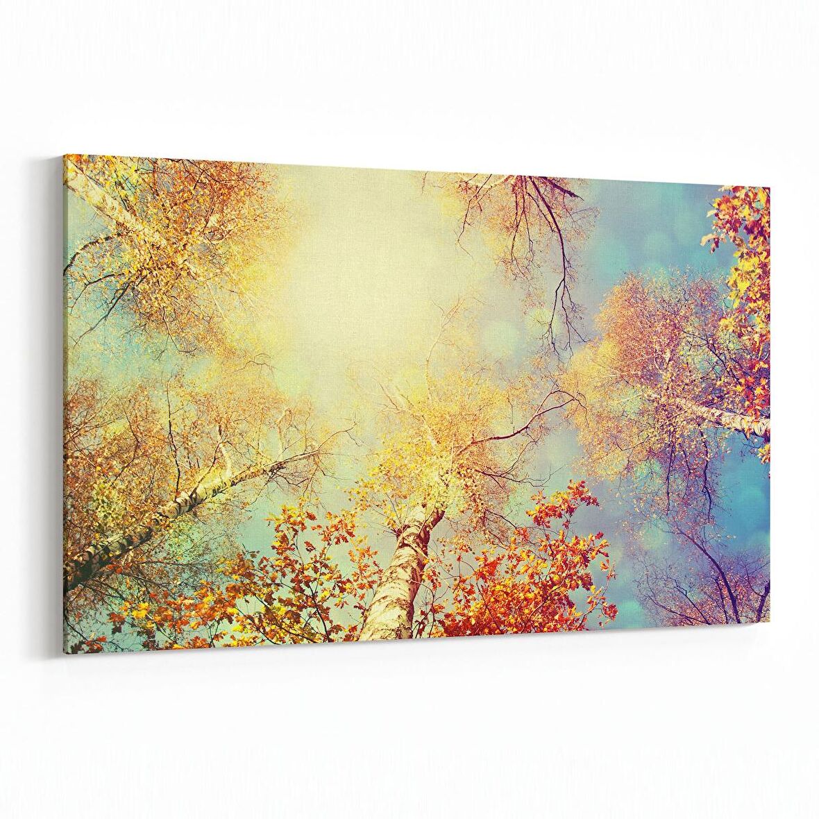 Olla 10708Y Ağaç Görseli Yatay Kanvas Tablo (Ölçü: 45X30)