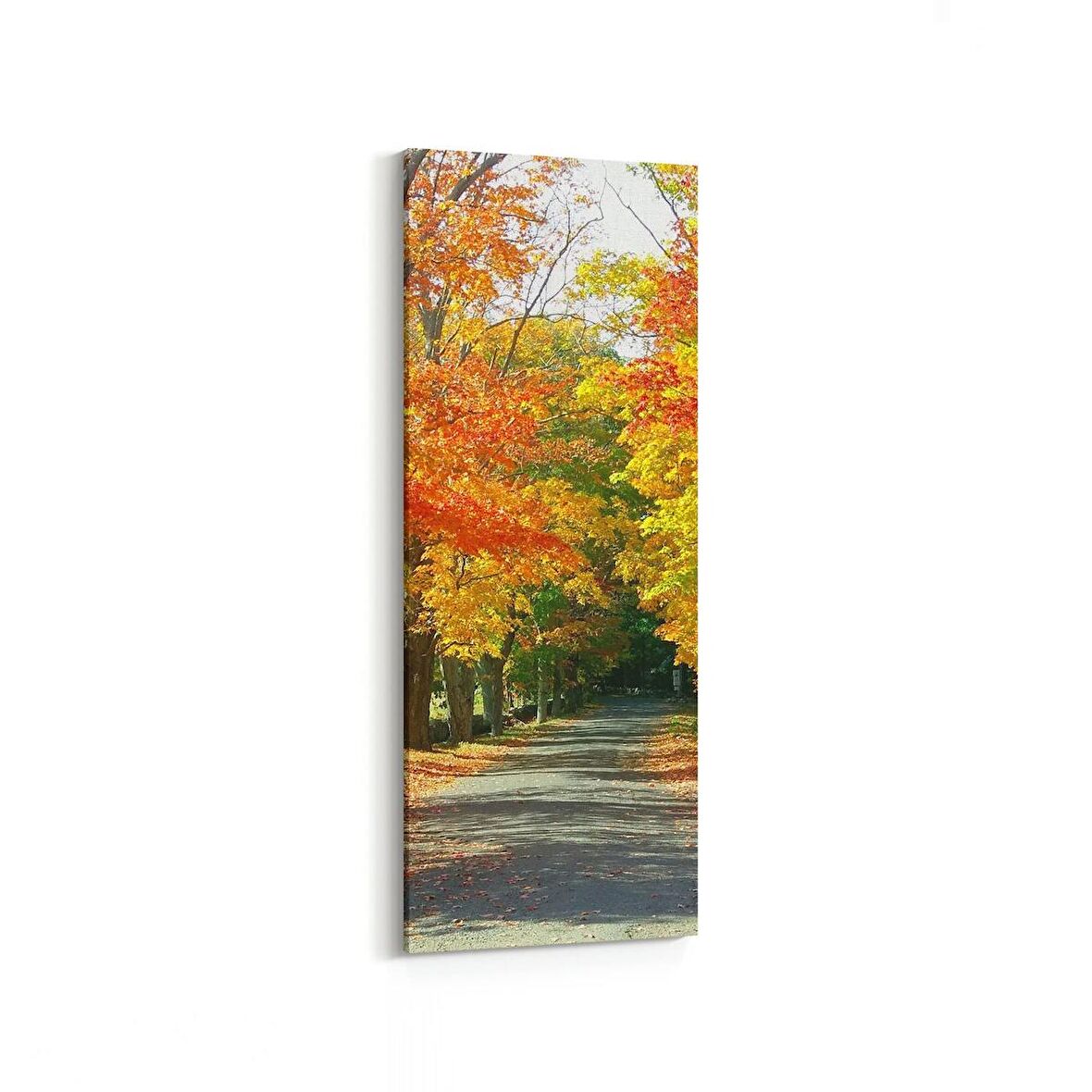 Olla 14529DI Doğa / Manzara Görseli Dikey İnce Kanvas Tablo (Ölçü: 40X120)