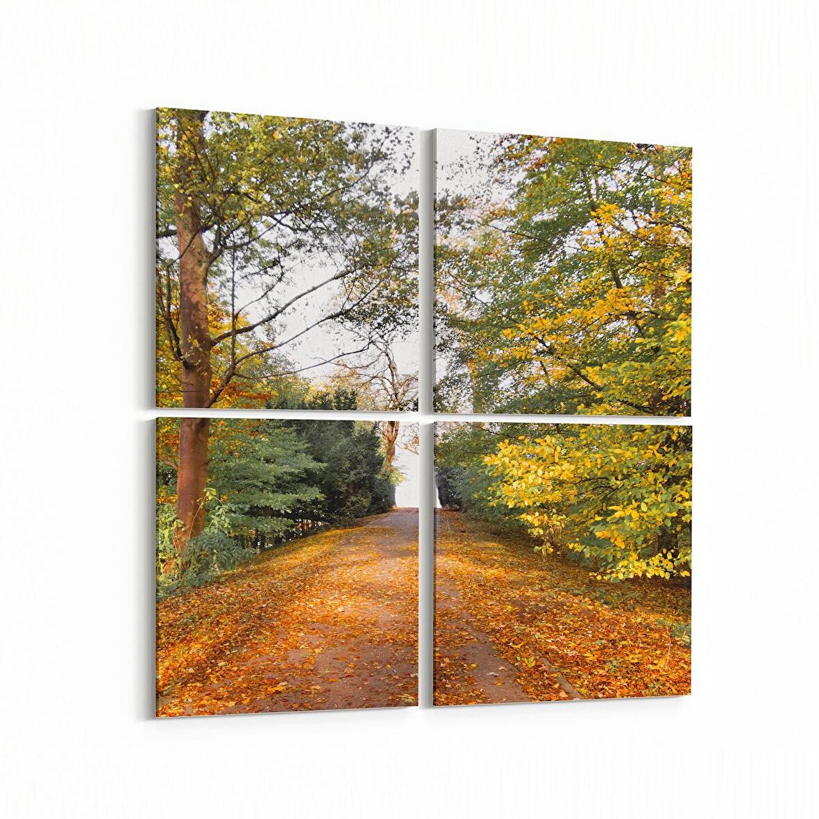 Olla 13273K4 Doğa / Manzara Görseli Kare 4'lü Kanvas Tablo (Ölçü: 65X65)