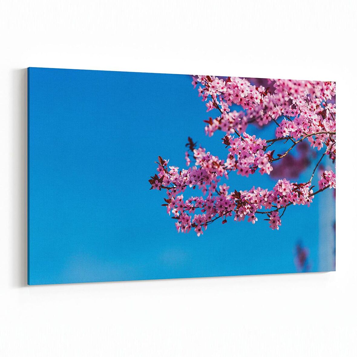 Olla 10954Y Ağaç Görseli Yatay Kanvas Tablo (Ölçü: 70X50)