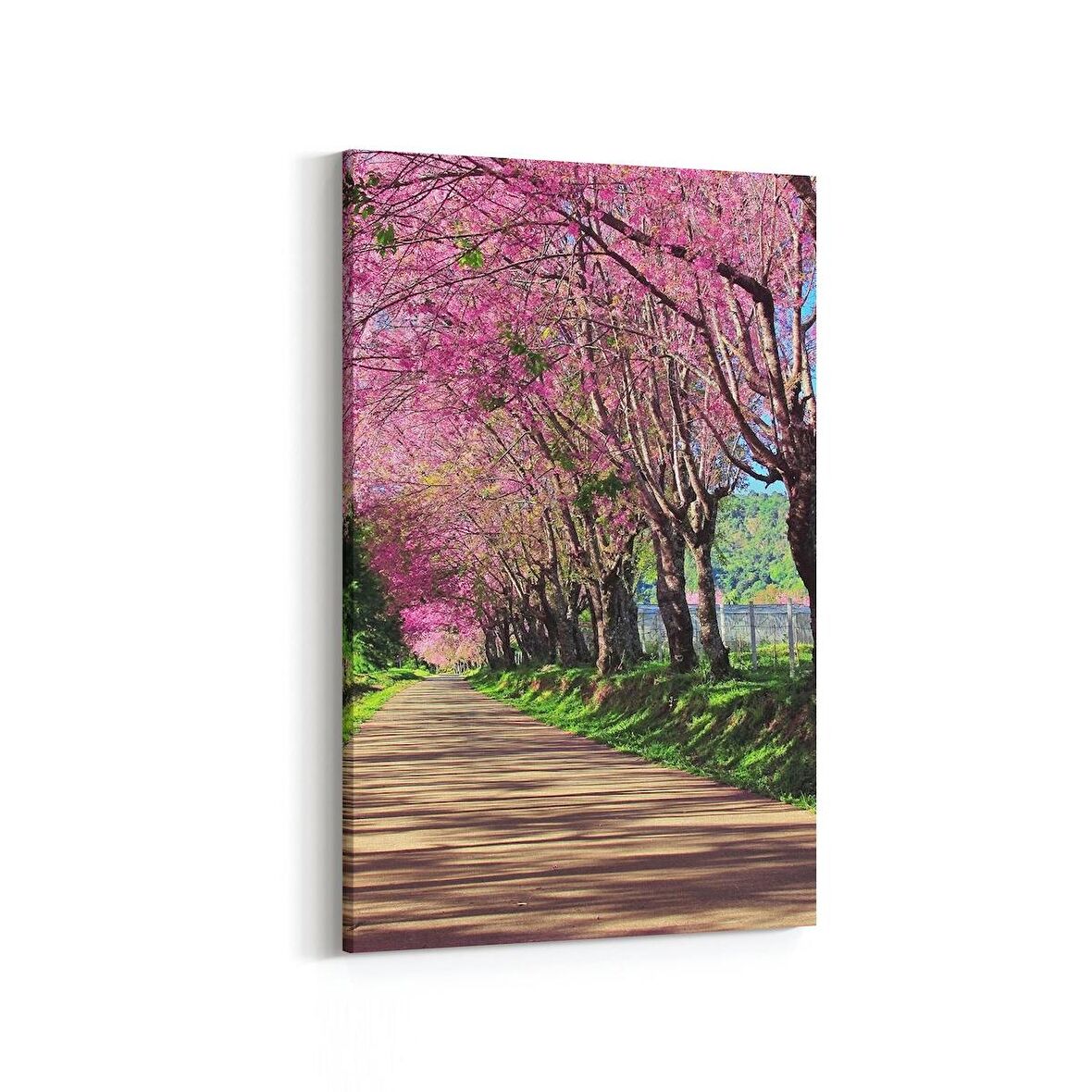 Olla 14633D Doğa / Manzara Görseli Dikey Kanvas Tablo (Ölçü: 20X30)