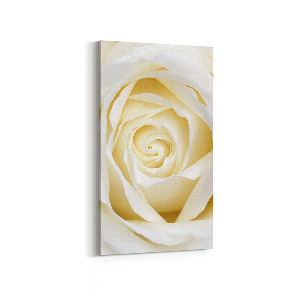 Olla 11638DD Çiçek Görseli Dikey Dar Kanvas Tablo (Ölçü: 60X120)