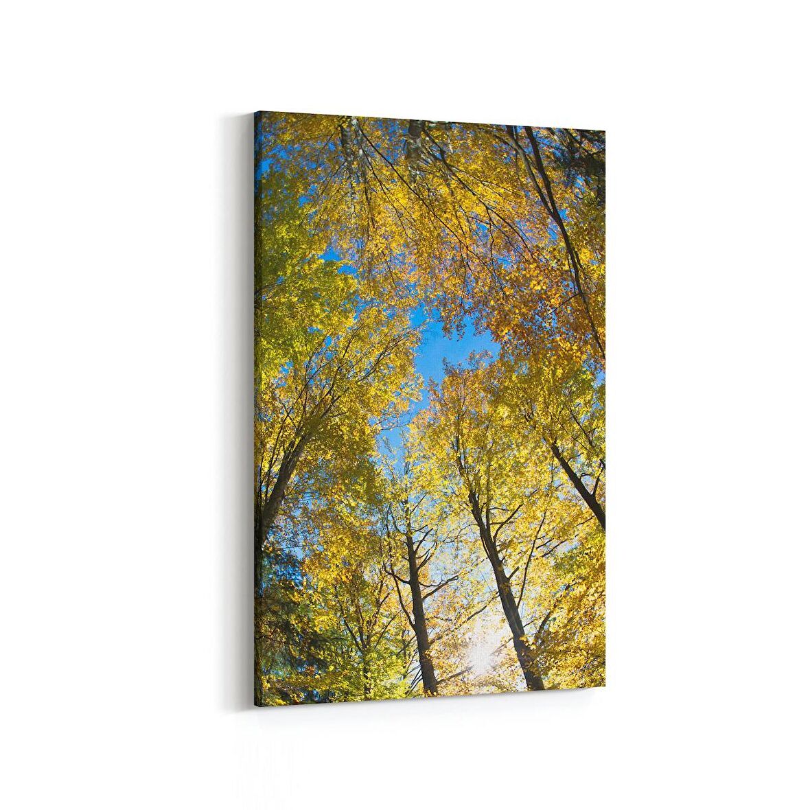 Olla 10883D Ağaç Görseli Dikey Kanvas Tablo (Ölçü: 100X150)