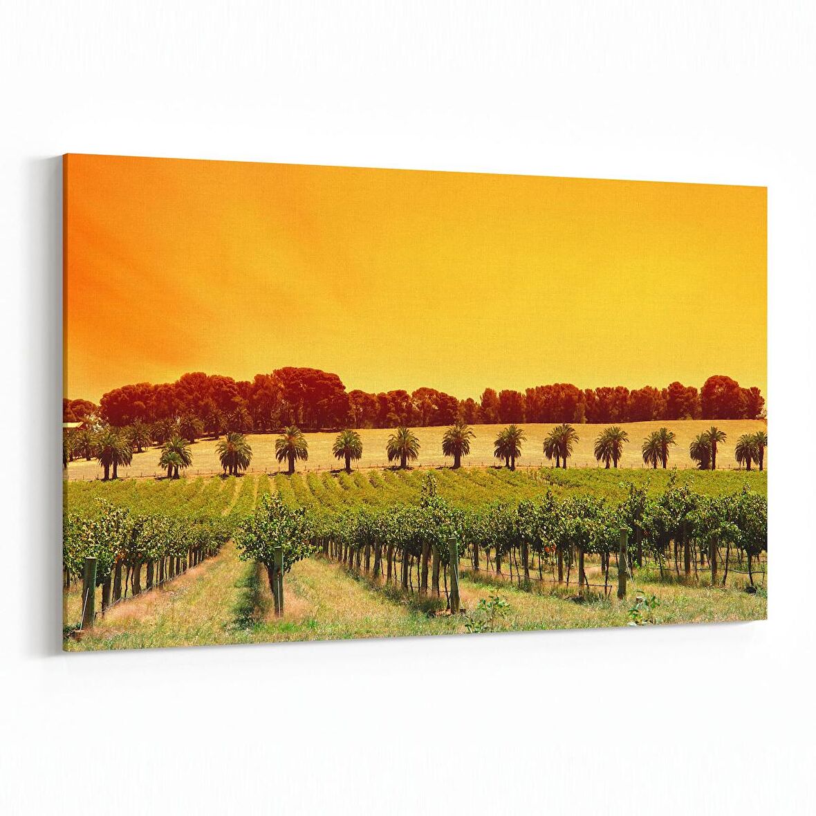 Olla 13815Y Doğa / Manzara Görseli Yatay Kanvas Tablo (Ölçü: 150X100)