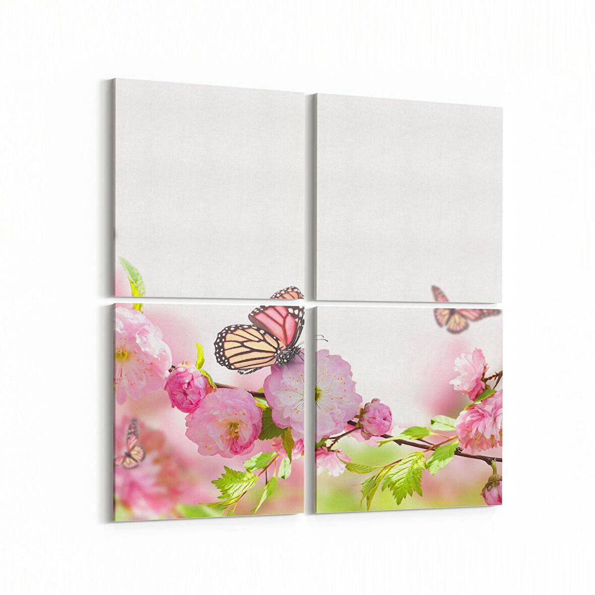 Olla 11682K4 Orkide Çiçek Görseli Kare 4'lü Kanvas Tablo (Ölçü: 65X65)