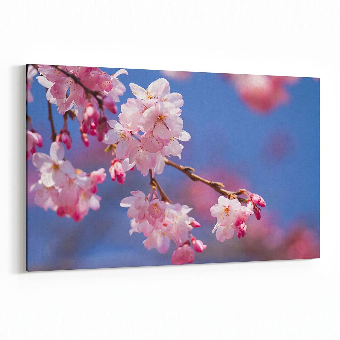 Olla 10564Y Ağaç Görseli Yatay Kanvas Tablo (Ölçü: 120X80)