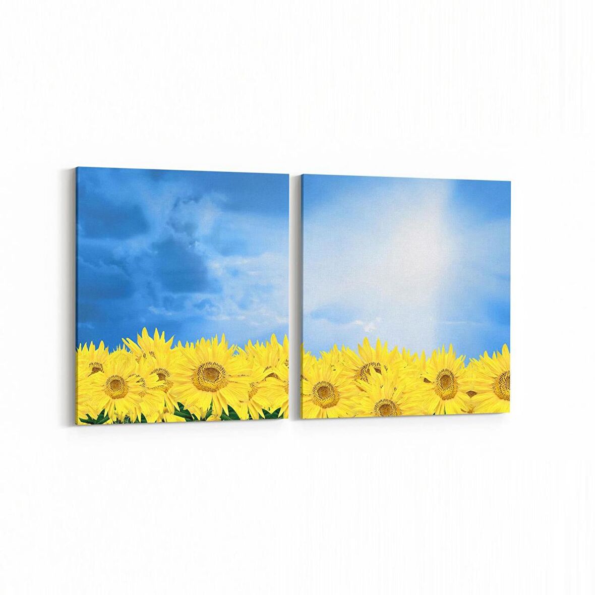 Olla 14540K2Y Doğa / Manzara Görseli Kare 2'li Yatay Kanvas Tablo (Ölçü: 65X30)