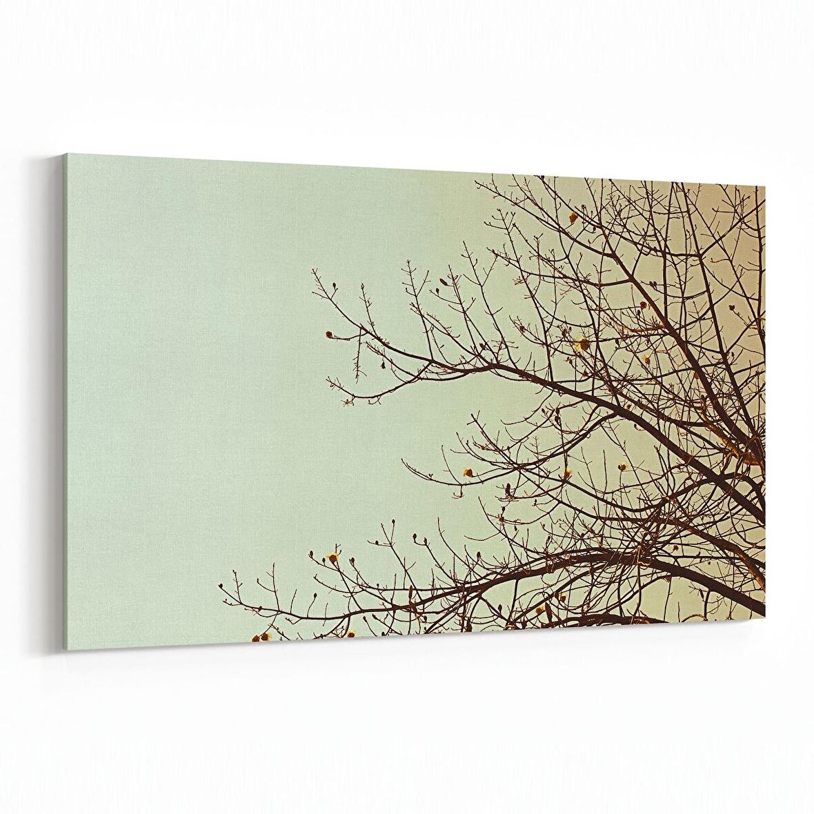 Olla 10826Y Ağaç Görseli Yatay Kanvas Tablo (Ölçü: 120X80)