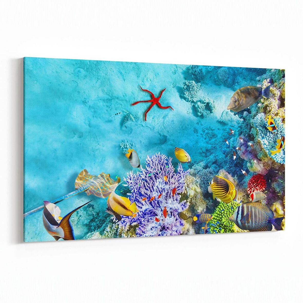 Olla 12129Y Akvaryum / Balık Görseli Yatay Kanvas Tablo (Ölçü: 120X80)