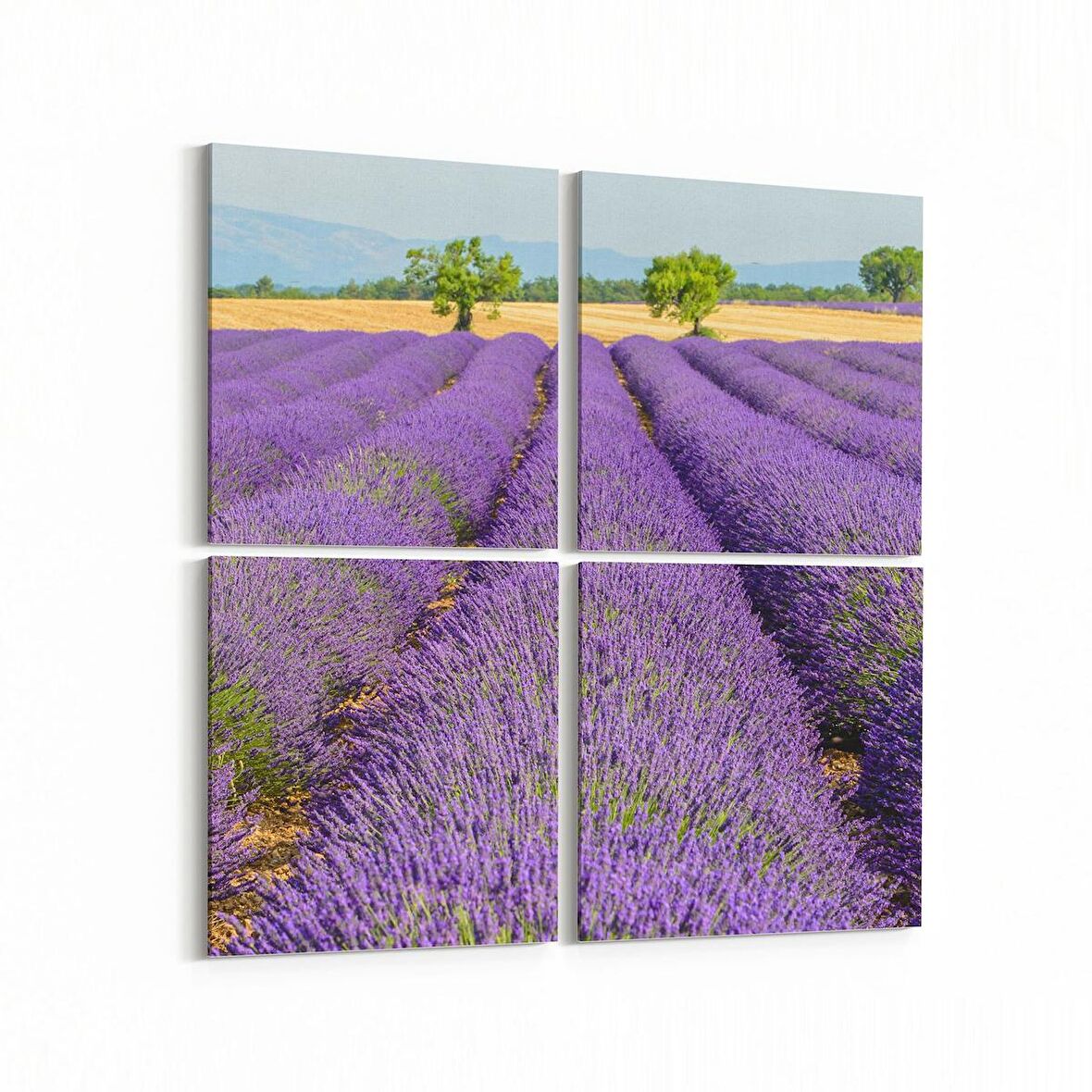 Olla 14110K4 Doğa / Manzara Görseli Kare 4'lü Kanvas Tablo (Ölçü: 145X145)