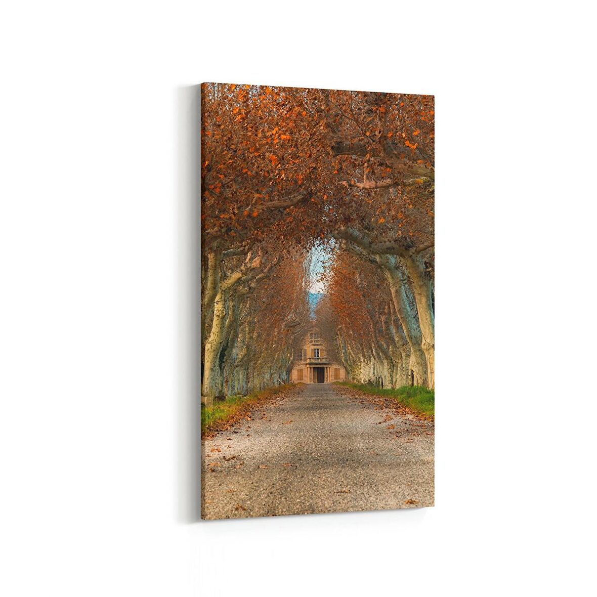 Olla 13353DD Doğa / Manzara Görseli Dikey Dar Kanvas Tablo (Ölçü: 40X80)