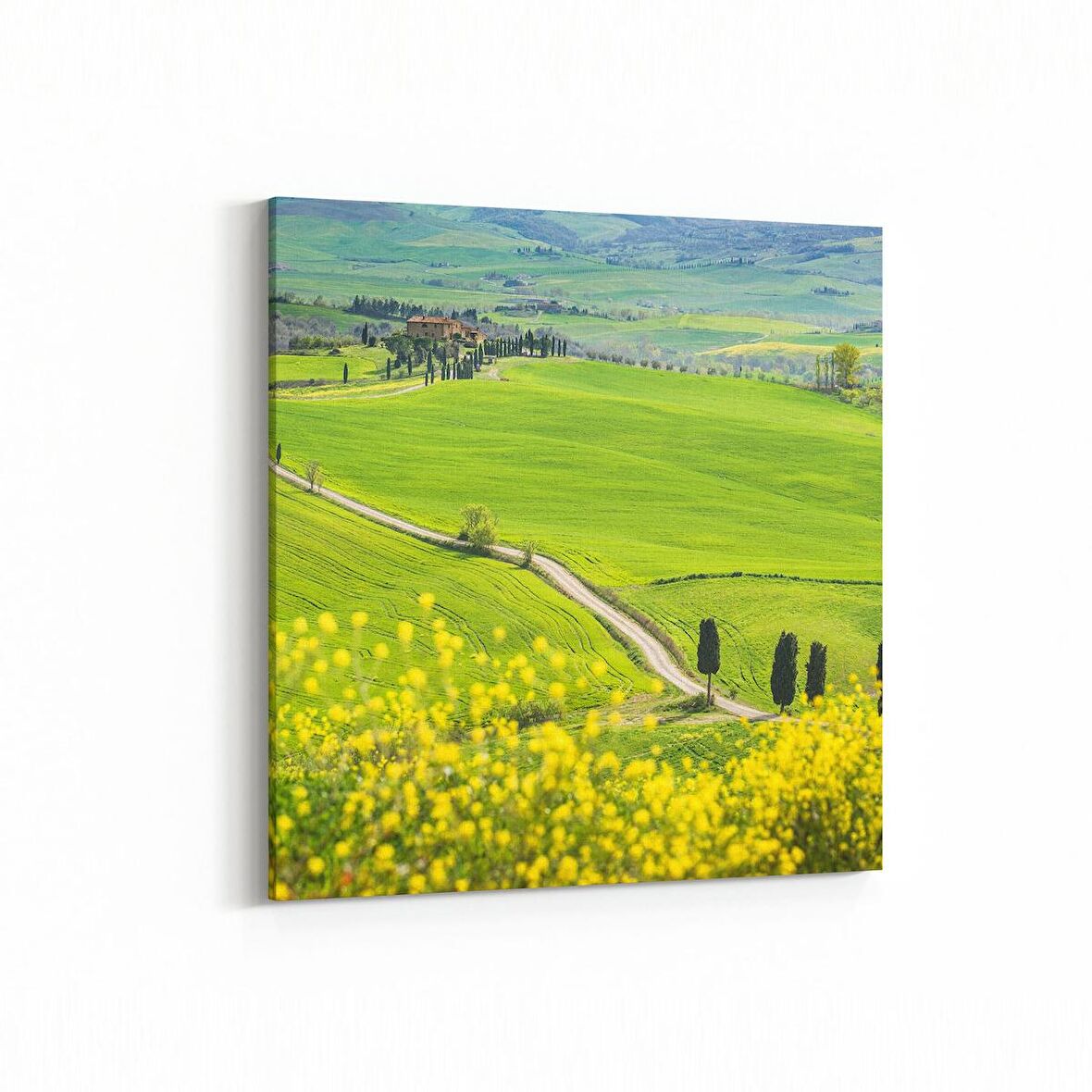 Olla 14007K Doğa / Manzara Görseli Kare Kanvas Tablo (Ölçü: 30X30)