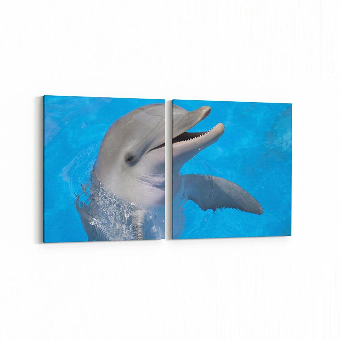 Olla 12890K2Y Deniz / Okyanus Görseli Kare 2'li Yatay Kanvas Tablo (Ölçü: 125X60)