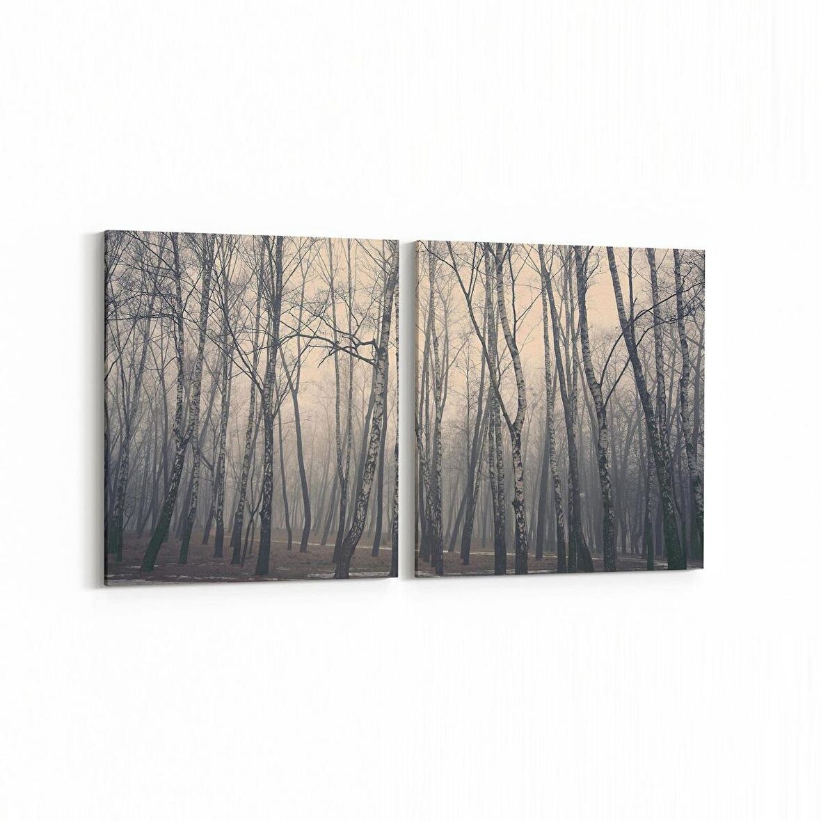 Olla 13155K2Y Doğa / Manzara Görseli Kare 2'li Yatay Kanvas Tablo (Ölçü: 105X50)