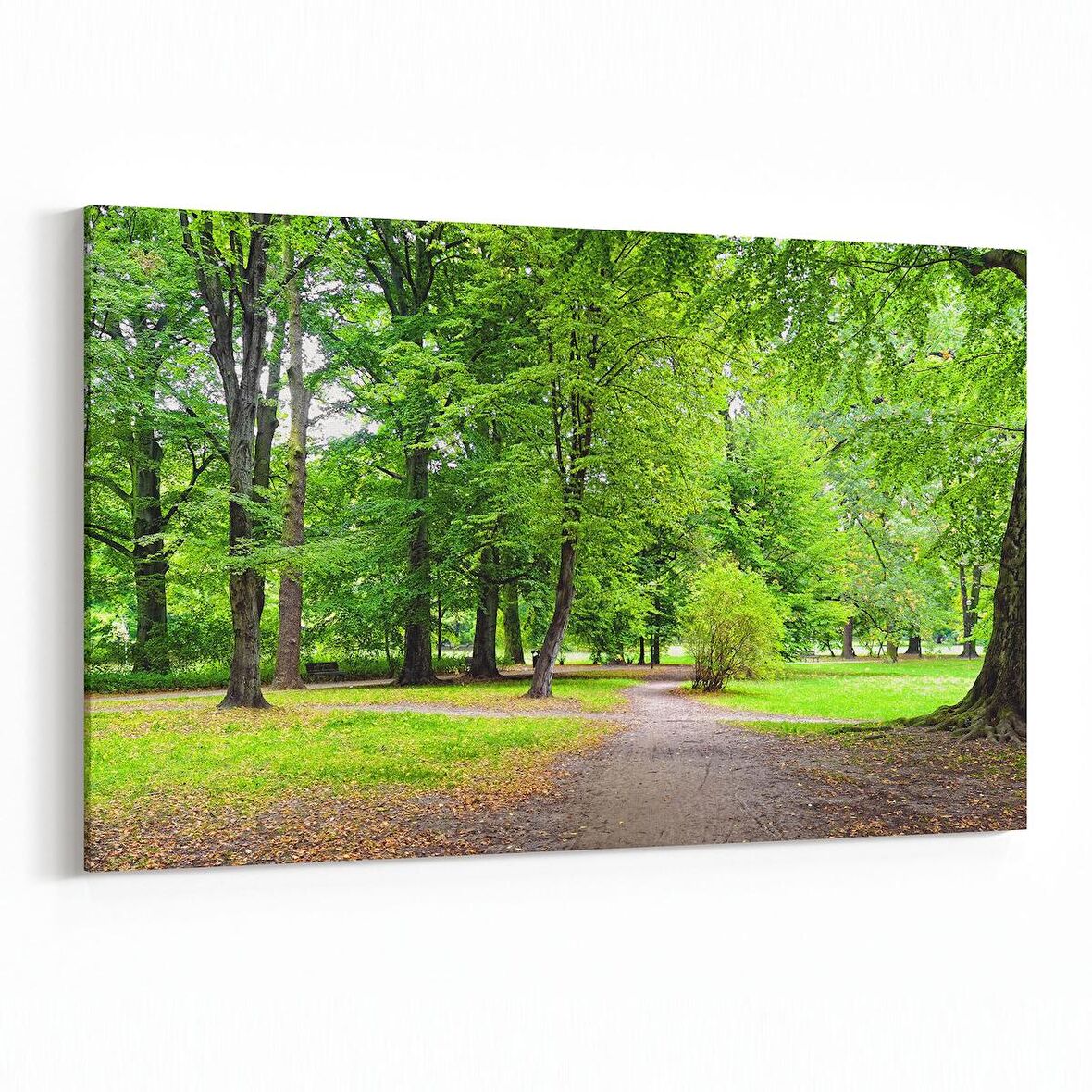 Olla 13321Y Doğa / Manzara Görseli Yatay Kanvas Tablo (Ölçü: 45X30)