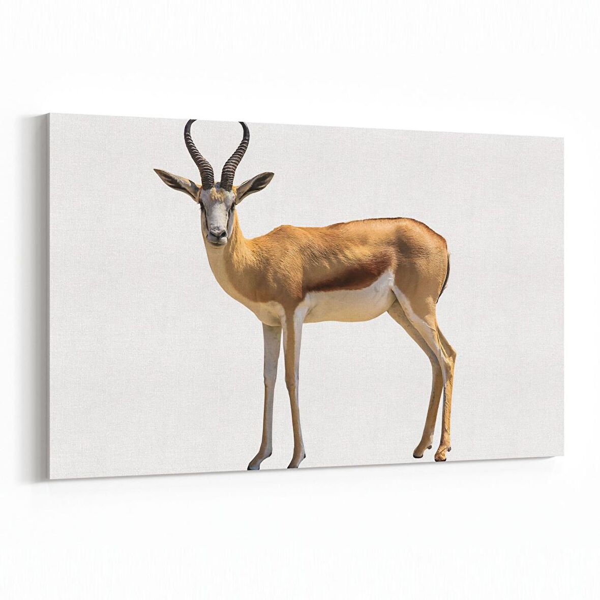 Olla 12571Y Hayvanlar Alemi Görseli Yatay Kanvas Tablo (Ölçü: 150X100)