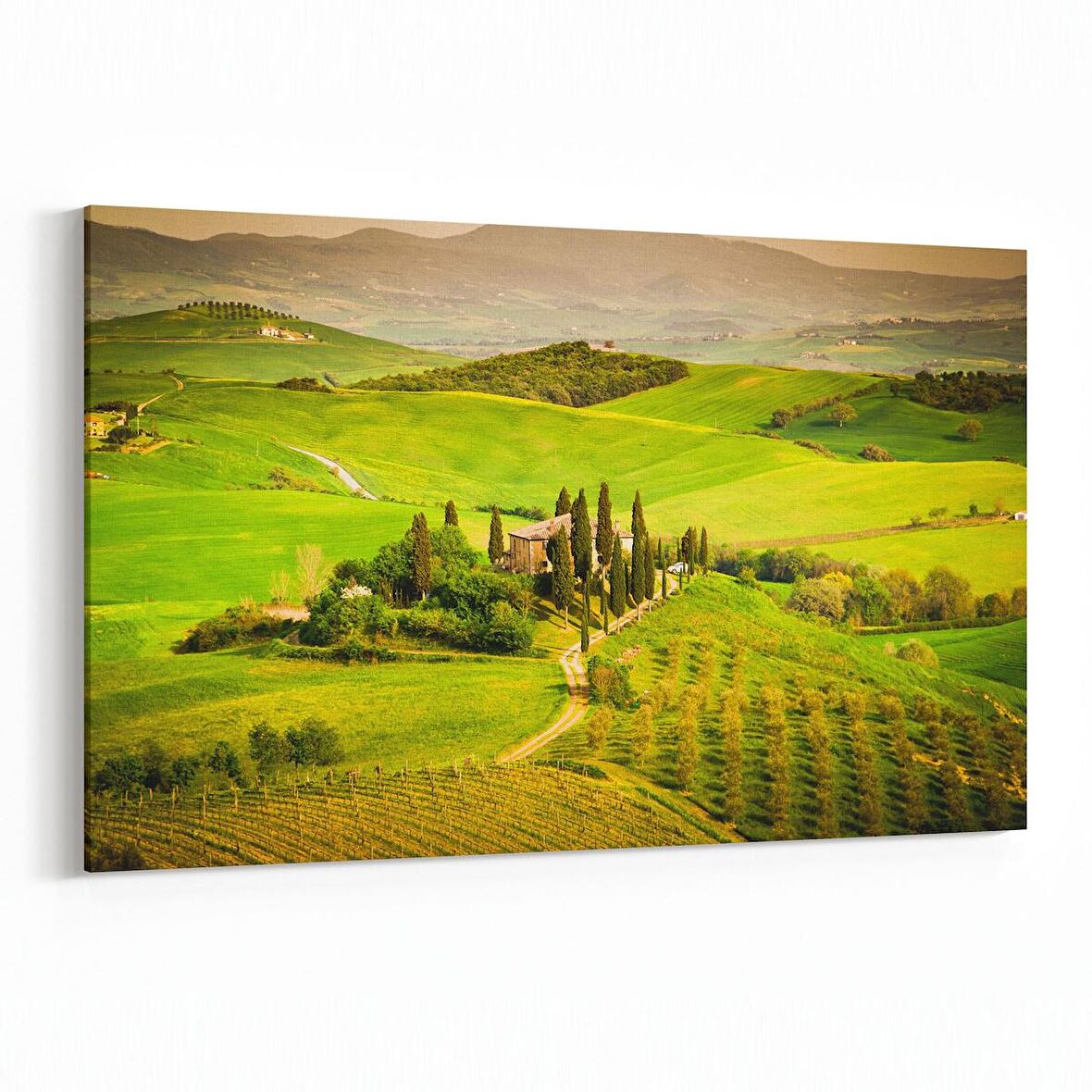 Olla 13628Y Doğa / Manzara Görseli Yatay Kanvas Tablo (Ölçü: 30X20)