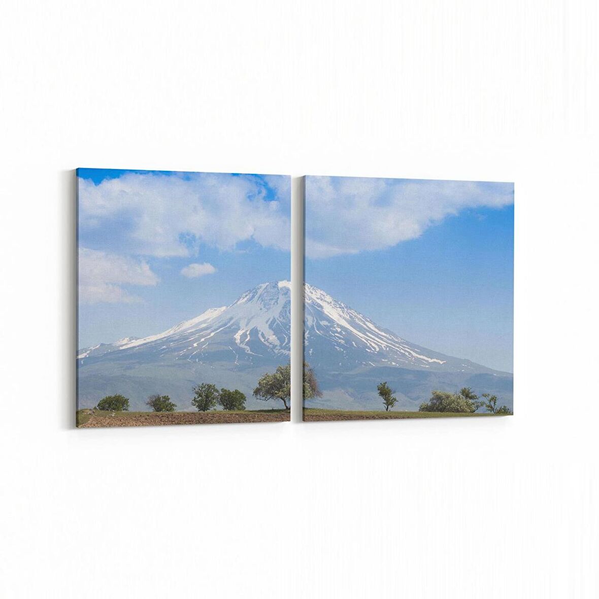 Olla 13771K2Y Doğa / Manzara Görseli Kare 2'li Yatay Kanvas Tablo (Ölçü: 145X70)