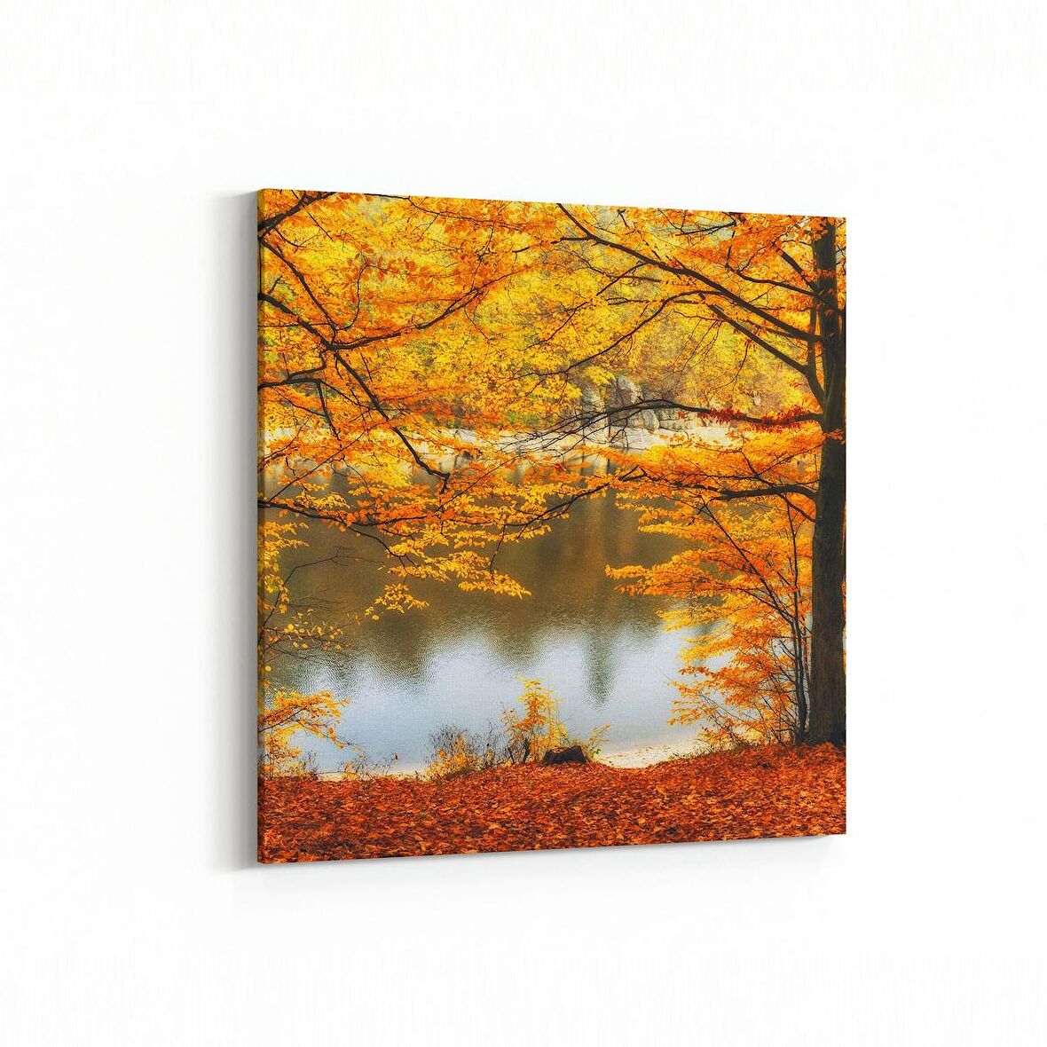 Olla 14409K Doğa / Manzara Görseli Kare Kanvas Tablo (Ölçü: 25X25)